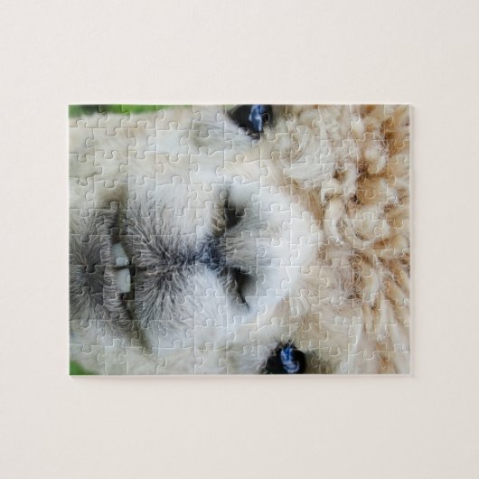 ALPACA PUZZLE 8 X10 (Horizontal)