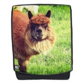 Alpaca Rucksack (Vorderseite)