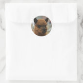Alpaca Runder Aufkleber (Tasche)