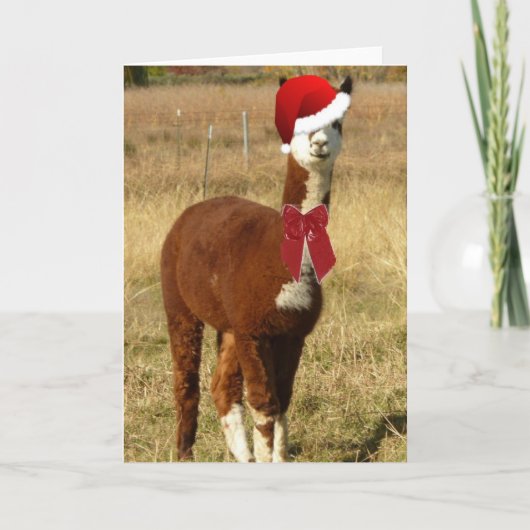 Alpaca Santa Feiertagskarte (Vorderseite)