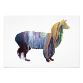 Alpaca-Silhouette Fotodruck (Vorne)