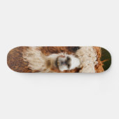 Alpaca Skateboard (Horizontal)