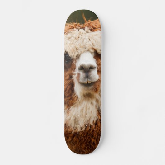 Alpaca Skateboard (Vorderseite)