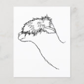 Alpaca Sketch. Flyer (Vorne)