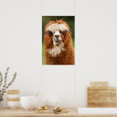Alpaca Smiles Poster (Küche)