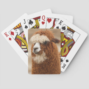 Alpaca Spielkarten