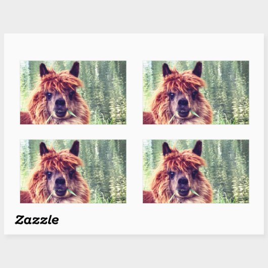 Alpaca Stickers (Blatt)