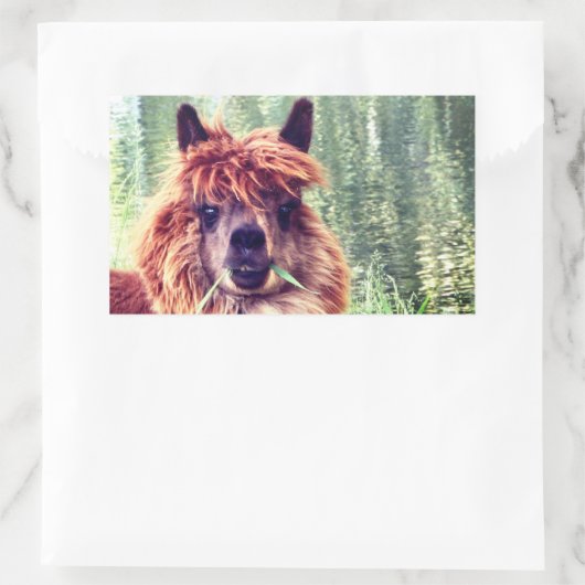 Alpaca Stickers (Tasche)