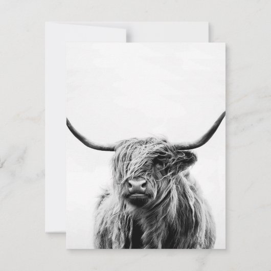 Alpaca Taco Einladung (Rückseite)