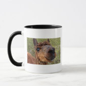 Alpaca-Tasse Tasse (Links)