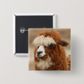 Alpaca-Taste Button (Vorne & Hinten)