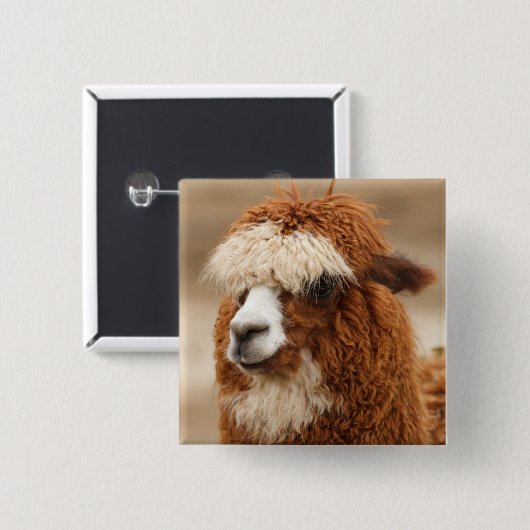 Alpaca-Taste Button (Vorne & Hinten)
