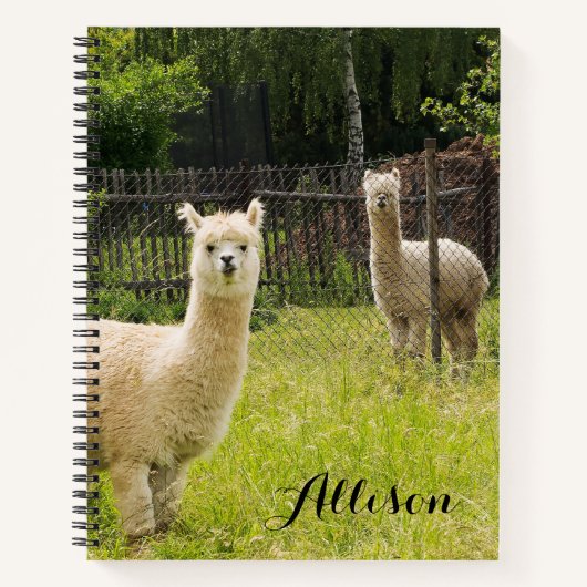 Alpaca Themed Notebook Personalisiert Notizblock (Vorderseite)