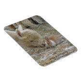 Alpaca und Bunny Kisses! Magnet (Rechte Seite)