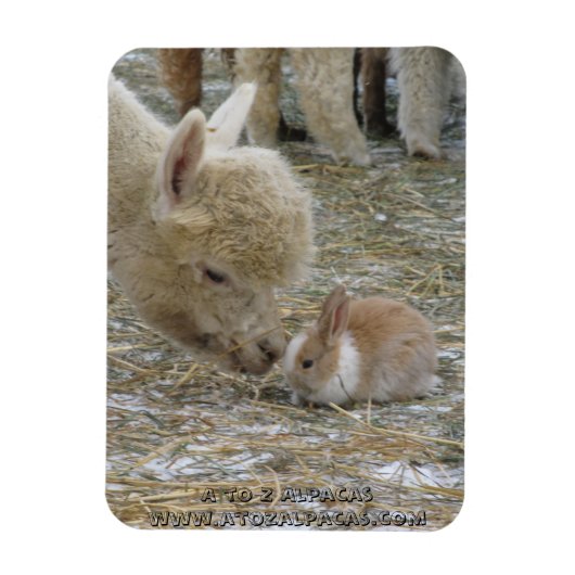 Alpaca und Bunny Kisses! Magnet (Vertikal)