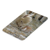 Alpaca und Bunny Kisses! Magnet (Linke Seite)