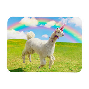 Alpaca Unicorn unter Rainbow Sky Magnet