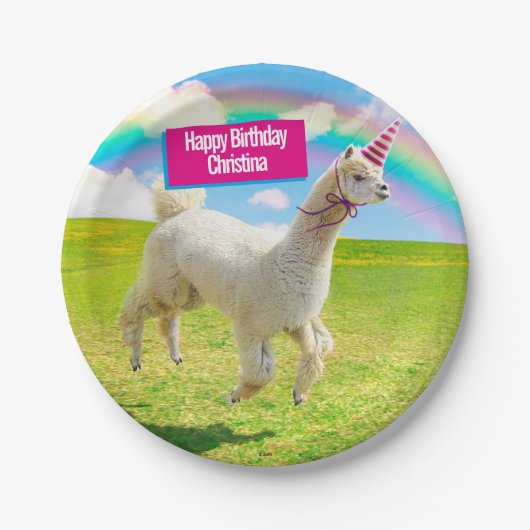 Alpaca Unicorn unter Rainbow Sky Pappteller (Vorderseite)