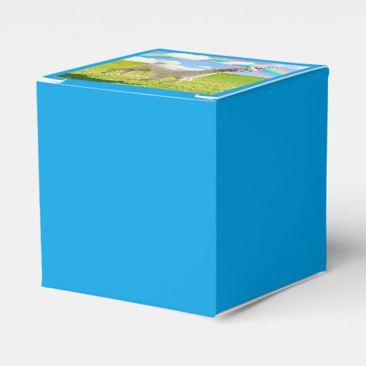 Alpaca Unicorn unter Regenbogen Himmel Geschenkschachtel (Vorderseite)