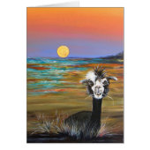 Alpaca - Vincent-Karte (Vorne)