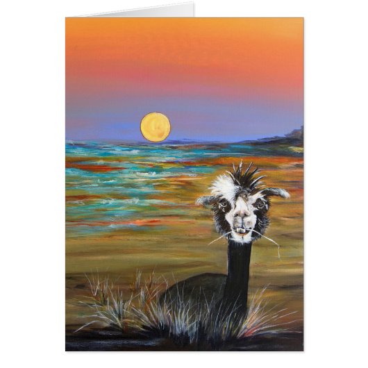 Alpaca - Vincent mit Geschichtenkarte (Vorne)