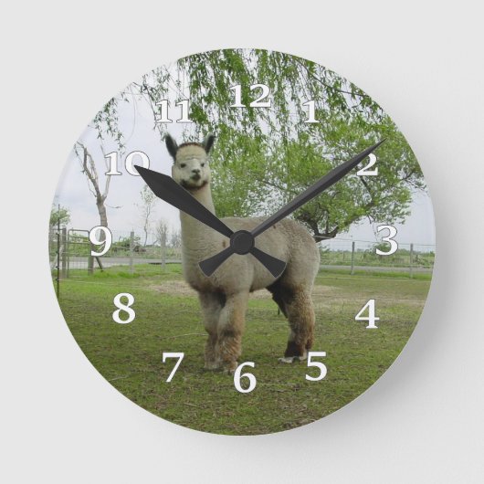 Alpaca Wall Clock Runde Wanduhr (Vorderseite)