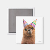 Alpaca Wear Party Hats Magnet (Vorderseite/Rückseite)