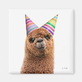 Alpaca Wear Party Hats Magnet (Vorne)