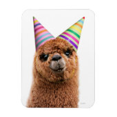 Alpaca Wear Party Hats Magnet (Vertikal)