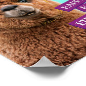 Alpaca Wear Party Hats Poster (Ecke)