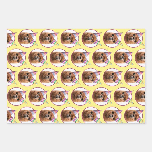 Alpaca Webereihats Party Geschenkpapier Set (Vorderseite 3)