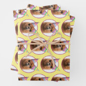 Alpaca Webereihats Party Geschenkpapier Set (Beispiel)