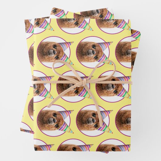 Alpaca Webereihats Party Geschenkpapier Set (Beispiel)