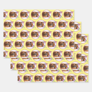 Alpaca Webereihats Party Geschenkpapier Set