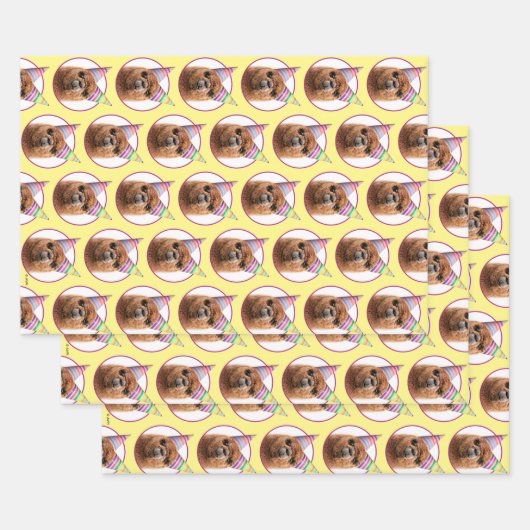 Alpaca Webereihats Party Geschenkpapier Set (Set)