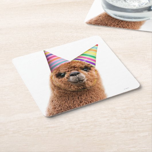 Alpaca Webereihats Party Rechteckiger Pappuntersetzer (angewinkelt)