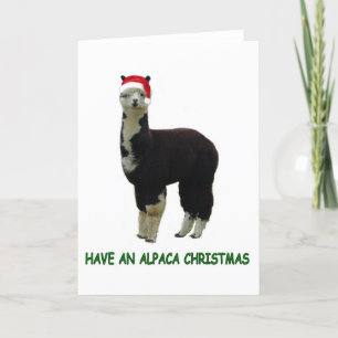 Alpaca Weihnachten