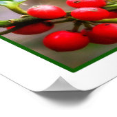 Alpaca Weihnachten Poster (Ecke)