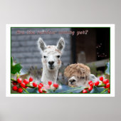 Alpaca Weihnachten Poster (Vorne)