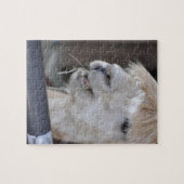 Alpaca, weiß puzzle (Horizontal)
