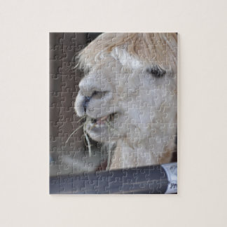 Alpaca, weiß puzzle