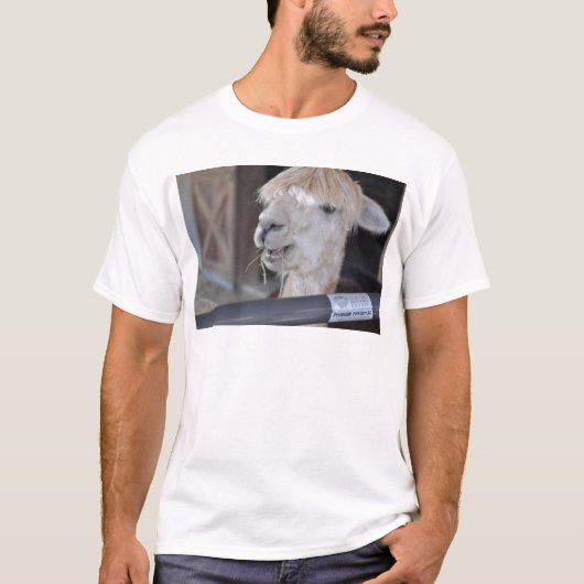 Alpaca, weiß T-Shirt (Vorderseite)
