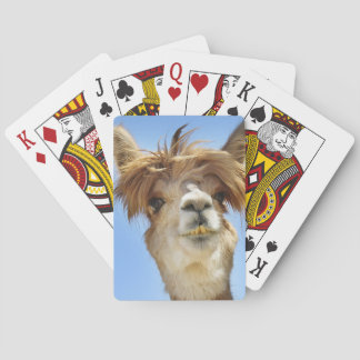 Alpaca with Crazy Hair Spielkarten