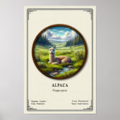 Alpaca Zoology Series Poster (Vorne)