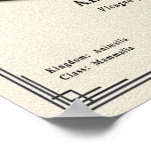 Alpaca Zoology Series Poster (Ecke)