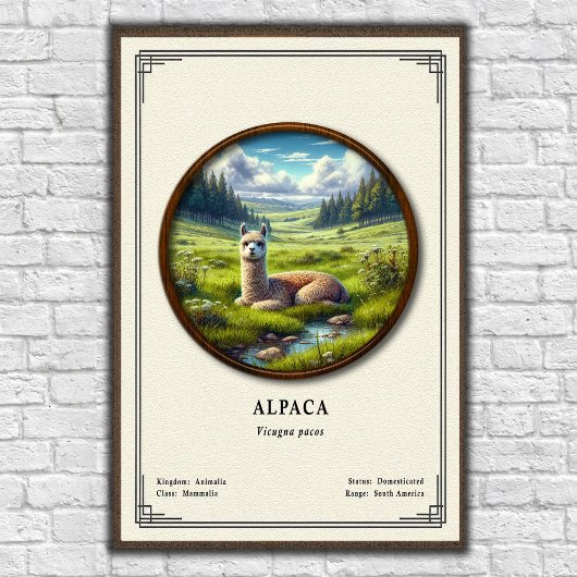 Alpaca Zoology Series Poster