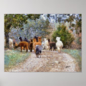 Alpacas Digital Painting Print Poster (Vorne)