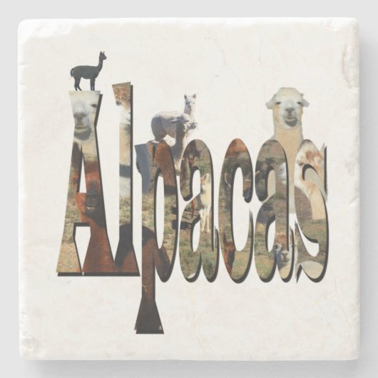 Alpacas mit Alpaca-Bild-Logo, Steinuntersetzer (Vorderseite)