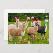 Alpacas mit Roten Cups Einladungspostkarte (Vorne/Hinten)