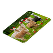 Alpacas mit Roten Cups Magnet (Linke Seite)